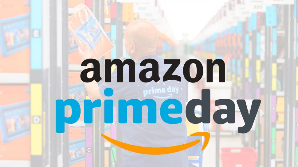 Amazon Sellers: Ready for Prime Day ?